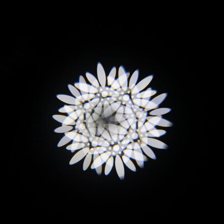 FLASH LED 150W Spot  4x +case