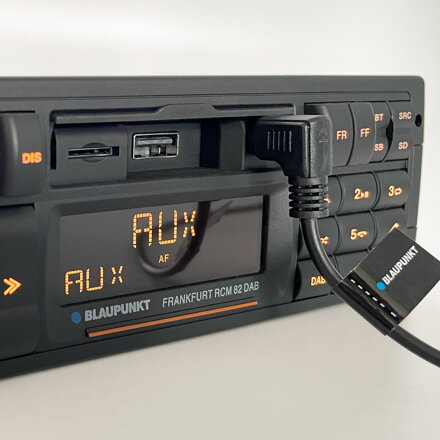 BLAUPUNKT FRANKFURT RCM82