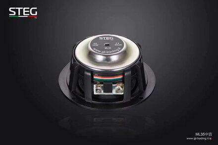 STEG ML35