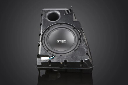 STEG MT9 subwoofer