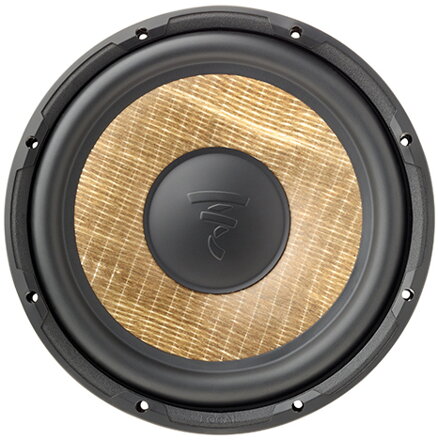 Focal SUB P 25 FSE