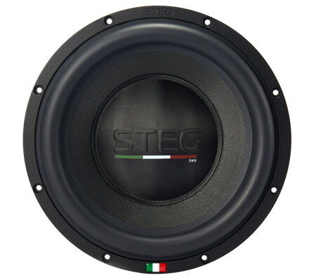 STEG ST10 subwoofer