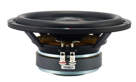 STEG ST10 subwoofer
