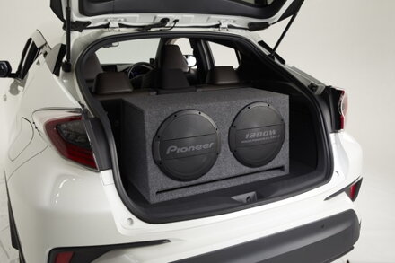 Pioneer TS-WX1220AH