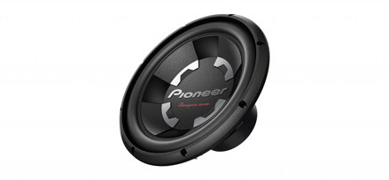 Pioneer TS-300D4